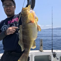 アマテラス 釣果