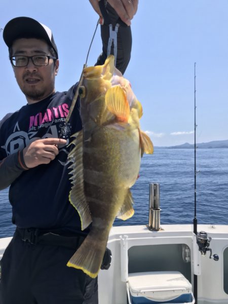 アマテラス 釣果