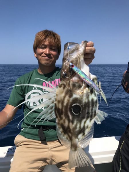 アマテラス 釣果