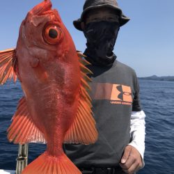 アマテラス 釣果