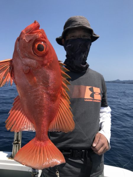 アマテラス 釣果