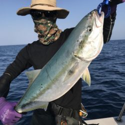 アマテラス 釣果