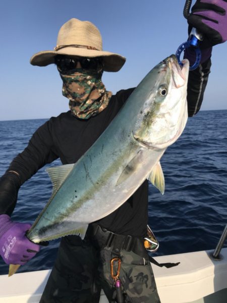 アマテラス 釣果