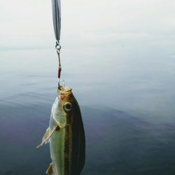 光生丸 釣果