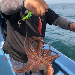 ヤザワ渡船 釣果