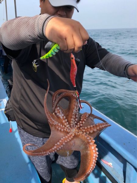 ヤザワ渡船 釣果