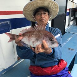 ヤザワ渡船 釣果