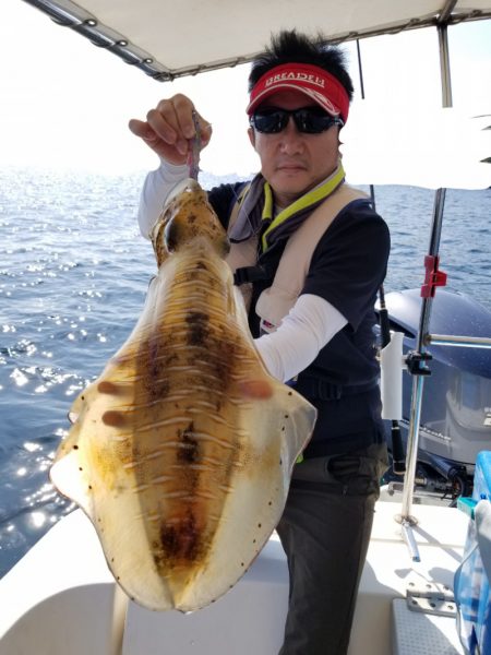 ソルトウォーターガイドフレンズ 釣果