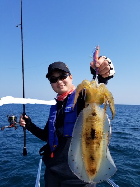 ソルトウォーターガイドフレンズ 釣果