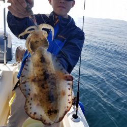 ソルトウォーターガイドフレンズ 釣果