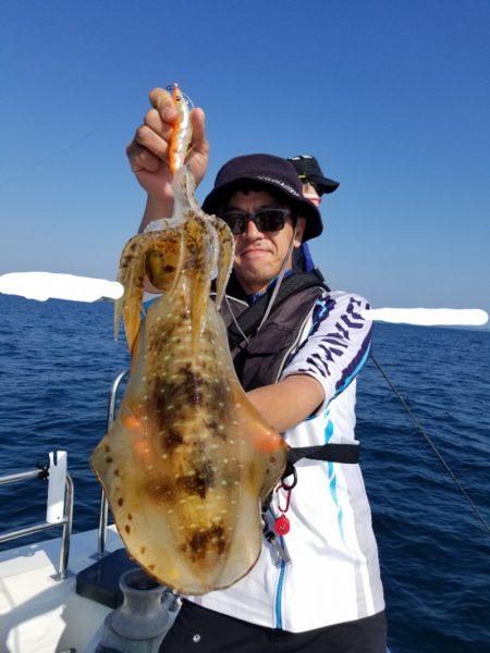 ソルトウォーターガイドフレンズ 釣果