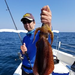 ソルトウォーターガイドフレンズ 釣果