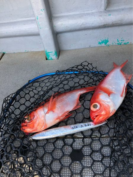 ＴＡＲＯＭＡＲＵ 釣果