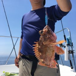 うさぎ丸 釣果