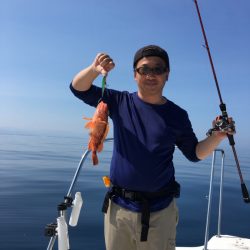 うさぎ丸 釣果