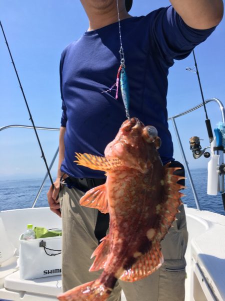 うさぎ丸 釣果