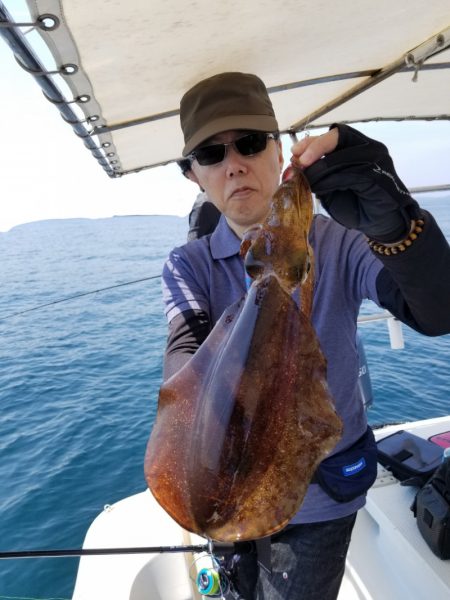 ソルトウォーターガイドフレンズ 釣果