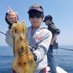 ソルトウォーターガイドフレンズ 釣果