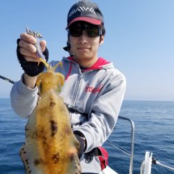 ソルトウォーターガイドフレンズ 釣果