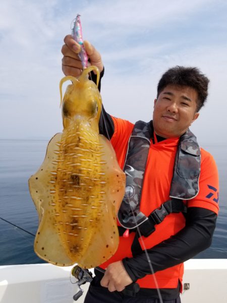 ソルトウォーターガイドフレンズ 釣果