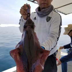 ソルトウォーターガイドフレンズ 釣果