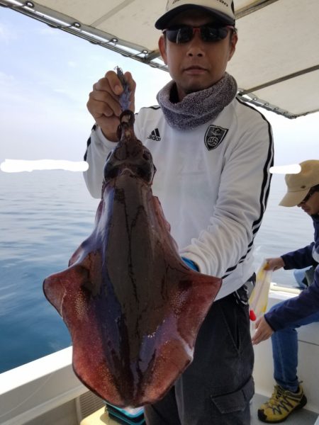 ソルトウォーターガイドフレンズ 釣果