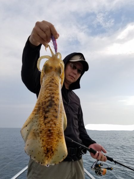 ソルトウォーターガイドフレンズ 釣果