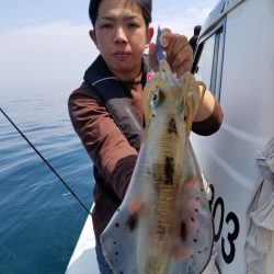 ソルトウォーターガイドフレンズ 釣果