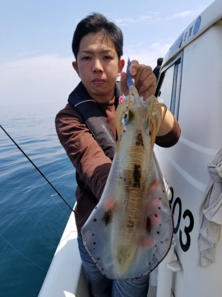 ソルトウォーターガイドフレンズ 釣果