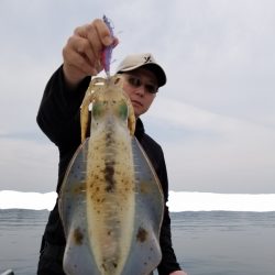 ソルトウォーターガイドフレンズ 釣果