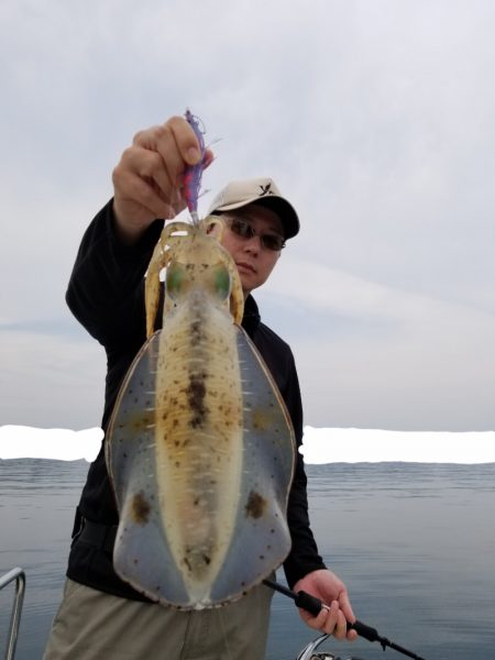 ソルトウォーターガイドフレンズ 釣果