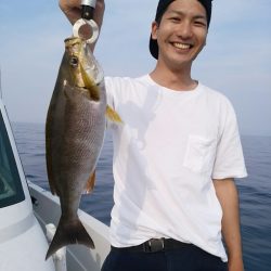 bay style 釣果