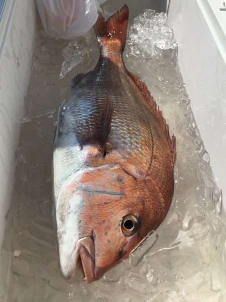 第二八坂丸 釣果