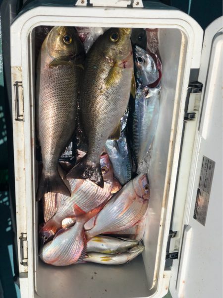丸万釣船 釣果
