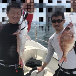 遊漁船メテオ 釣果