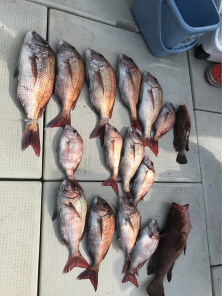 遊漁船メテオ 釣果