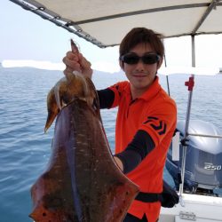 ソルトウォーターガイドフレンズ 釣果