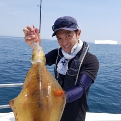 ソルトウォーターガイドフレンズ 釣果