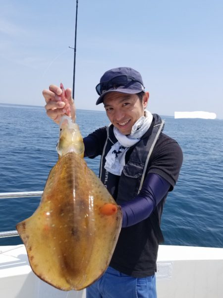 ソルトウォーターガイドフレンズ 釣果