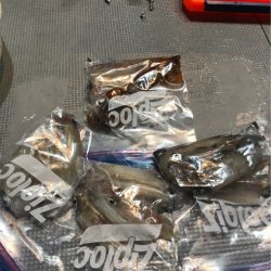 ＴＡＲＯＭＡＲＵ 釣果