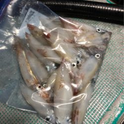 ＴＡＲＯＭＡＲＵ 釣果