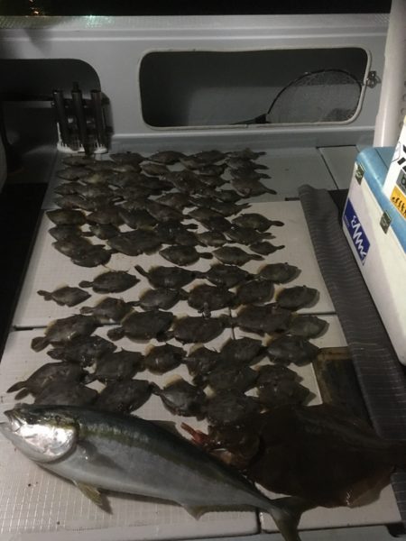 エムズジャーク（M’s JERK） 釣果