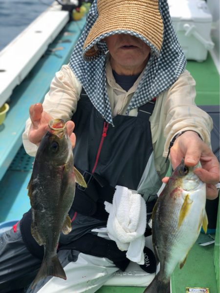 丸万釣船 釣果