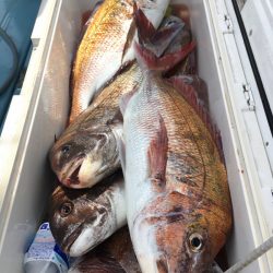 第二八坂丸 釣果