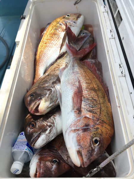 第二八坂丸 釣果