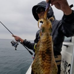 ソルトウォーターガイドフレンズ 釣果