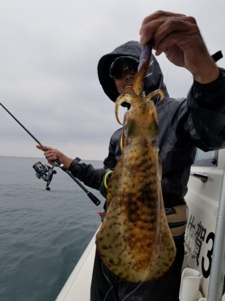 ソルトウォーターガイドフレンズ 釣果