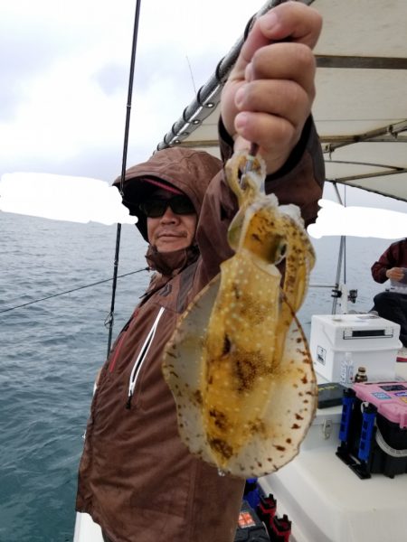 ソルトウォーターガイドフレンズ 釣果