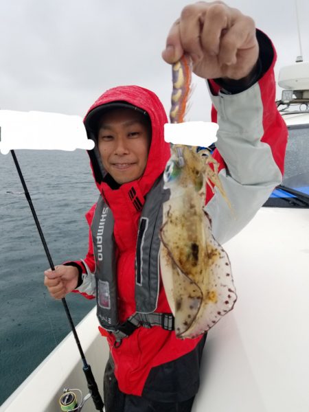 ソルトウォーターガイドフレンズ 釣果