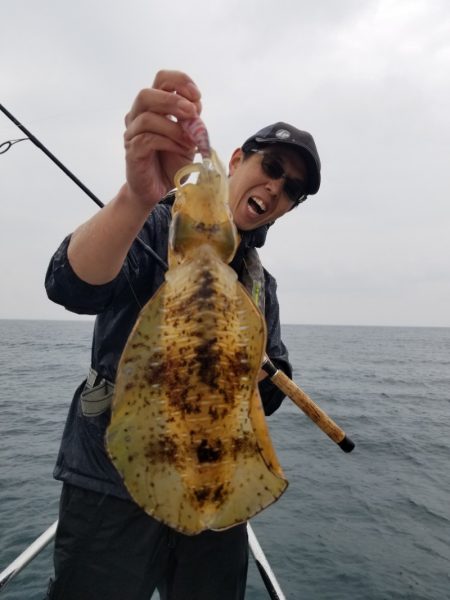 ソルトウォーターガイドフレンズ 釣果